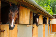 free Lower Tasburgh stable construction quotes